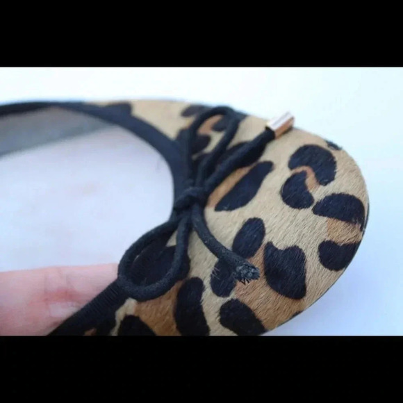 Cosmo Paris flats - Picture 7 of 8